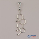 Zawieszka TESTOSTERON srebro 925