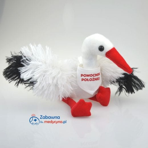 Bocian pomocnik położnej