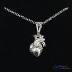 Naszyjnik SERCE ANATOMICZNE srebro 925