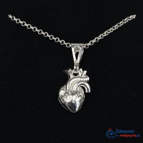 Naszyjnik - SERCE ANATOMICZNE srebro 925, naszyjnik serce anatomiczne, serce anatomiczne biżuteria, serce srebro 925, srebro 925, biżuteria medyczna, srebrna biżuteria, biżuteria dla medyka, kardiolog prezent, zdana sesja z anatomii, studentka medycyny