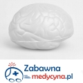 Mózg antystresowy chwilowo niedostępny do 2016 r.
