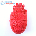 Antystresowe serce anatomiczne, ozdoba w kształcie serca, antystres w kształcie serca, serce antystresowe, zabawka do ściskania
