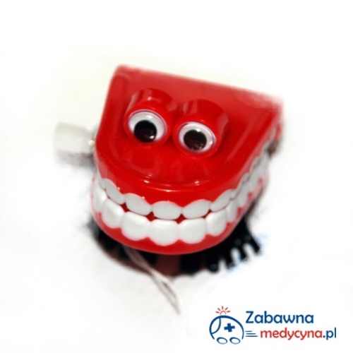 Chodząca szczęka jest lepsza niż naklejka dzielny pacjent, gdyż rozśmieszy już przed samą wizytą na fotelu dentystycznym.