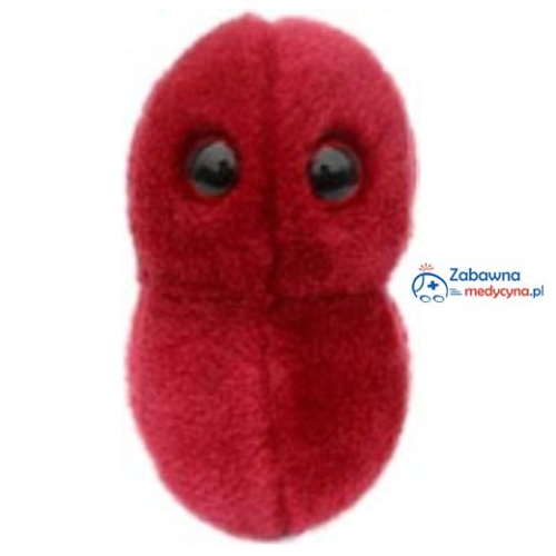 mikroby angina, maskotka mikroby, angina