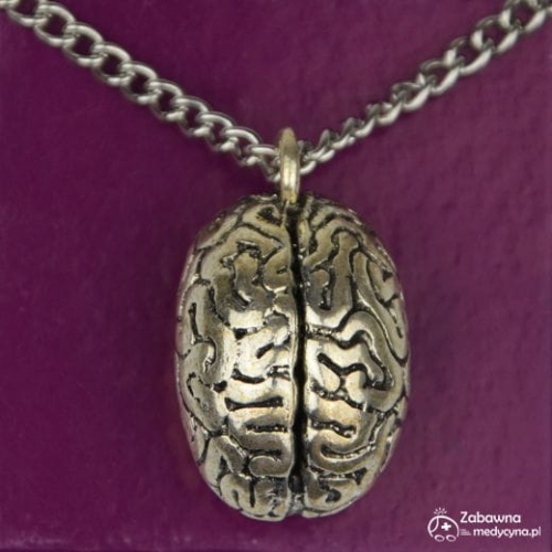 Naszyjnik - ludzki mózg studentka, studentka medycyny, medycynka, mózg, anatomia, studia medyczne, akademik, medyczna impreza, biżuteria medyczna, anatomiczny mózg, mózg metalowy, naszyjnik z mózgiem, naszyjnik mózg
