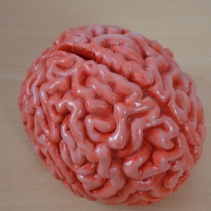 Skarbonka mózg studenta medycyny