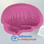 Forma do pieczenia - ludzki mózg