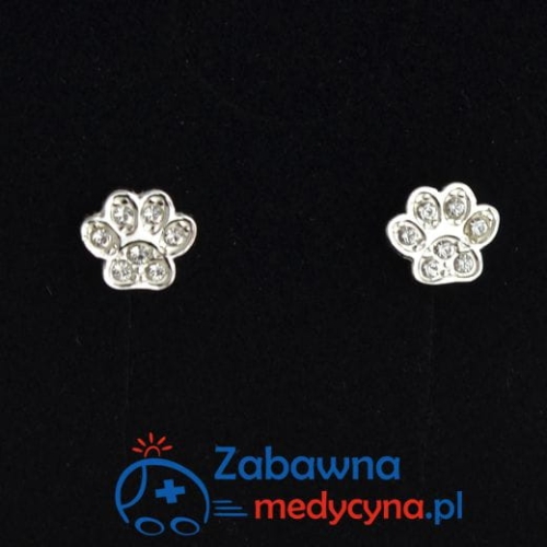 Kolczyki sztyfty ŁAPKA z kryształkami PRECIOSA dla weterynarza srebro 925 kolczyki weterynaryjne dla Pani Weterynarz dla kobiety kochającej zwierzęta idealne na prezent urodzinowy lub na Boże Narodzenie prezent Mama WET Dzień MATKI