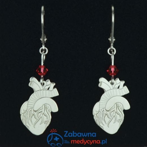 Kolczyki SERCE LUDZKIE z kryształkami SWAROVSKI srebro 925 - kolczyki srebrne serce ludzkie serce anatomiczne kolczyki srebro 925kolczyki klinika kardiochirurgii nowości 2022 dla lekarski dla kardiologa dla studentki medycyny medycyna 2022