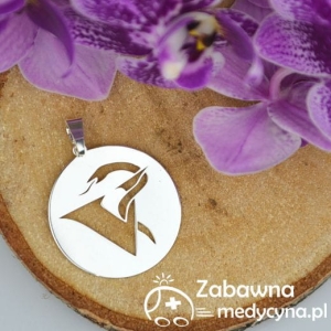 Zawieszka duży Symbol Weterynarii (srebro 925)
