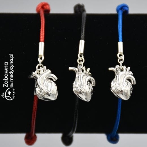 serce anatomiczne serce 2022 anatomia doktor studentka medycyny sesja medyczna nauka na studiach medycznych medycyna medycynka! ratownik lekarka doktor kardiolog kardiologiczny stetoskop gadżety medyczne