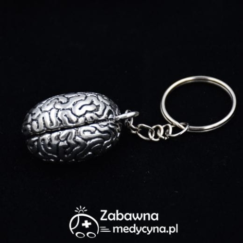 Brelok ludzki mózg brelok mózg prezent brylok mozg hit mózg-brelok anatomia mózgu brelok dla studenta medycyny brelok metalowy brelok do kluczy zestaw brelok medycznych brelok neuron gadżet medyczny 2022 fizjoterapeuta hit analityk