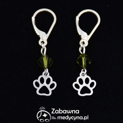 Kolczyki łapka z łapką Swarovski srebro 925- kot pies kotek piesek łapa kolczyki prezent dla studentki weterynarii biżuteria kolczyki z łapką kolczyki animals help kolczyki swarovski biżuteria zwierzakoluba 2022 hodowczyni treserka zwierząt behawiorystka