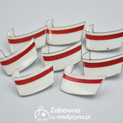 WYPRZEDAŻ - Czepek przypinka położniczy srebrne wykończenie wada emalii czepek dla położnej studentka położnictwa studia czerwony pasek przypinka przypiąć fartuch medyczny zapięcie agrafka czepek czepki medyczne hit