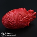 Antystresowe serce anatomiczne XXL
