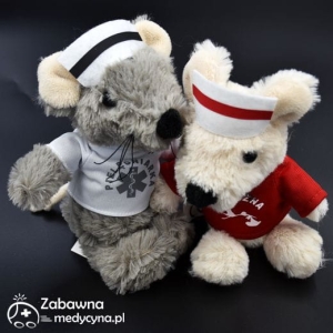 Mysie przyjaciółki - pielęgniarka i położna