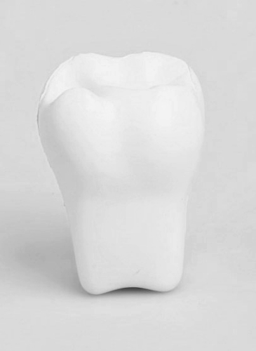 Ząb idealny do poradni stomatologicznej jako gadżet dla znerwicowanych pacjentów. Ząbek antystresowy, dla dentystów, dla stomatologów, do gabinetu stomatologicznego, zabawka antystresowa.