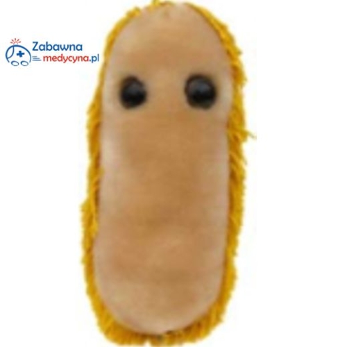mikroby czerwonka, pałeczka Shigella, maskotka czerwonka