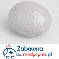 Mózg antystresowy chwilowo niedostępny do 2016 r.