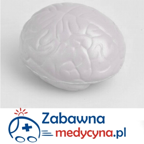 Mózg antystresowy chwilowo niedostępny do 2016 r.