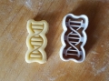 Foremka do ciastek DNA, oryginalne foremki do ciastek, medyczne ciastka, medyczna foremka do ciastek, gadżet do kuchni medyków, foremka DNA