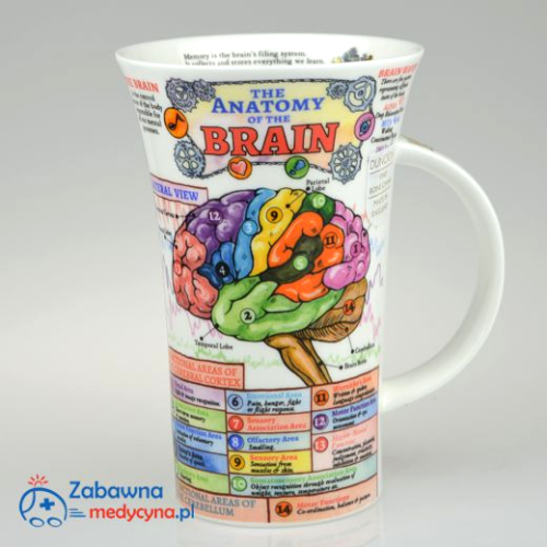 Kubek DUNOON glencoe anatomia mózgu, kubek dla medyka