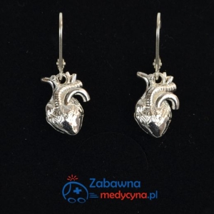 SERCE ANATOMICZNE kolczyki Pani Medyk srebro 925