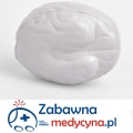 Mózg antystresowy chwilowo niedostępny do 2016 r.