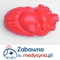 Serce antystresowe anatomiczne, gniotek serce, antystres w kształcie serca, serce do ściskania.