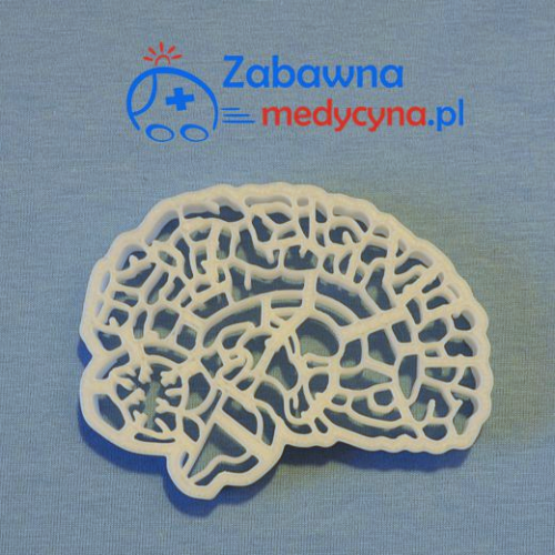 Foremka do ciastek mózg, oryginalne foremki do ciastek, medyczne ciastka, medyczna foremka do ciastek, gadżet do kuchni medyków, foremka mózg