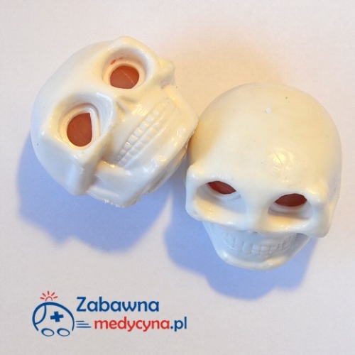Antystres czaszka, czaszka z robakami, antystresy medyczne, antystres czacha ludzka, antystres do ściskania/ugniatania, gadżet antystresowy.