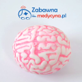 Miękki mózg antystresowy, odstresowywacz, antystres, antystres w kształcie mózgu, gniotek, zabawka do ściskania