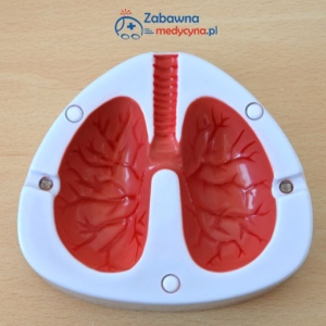 Kaszląca popielniczka