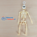 Szkielet z ruchomymi częściami, szkielecik, szkielet z plastiku, gadżet szkielet.