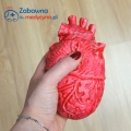 Antystresowe serce anatomiczne, ozdoba w kształcie serca, antystres w kształcie serca, serce antystresowe, zabawka do ściskania