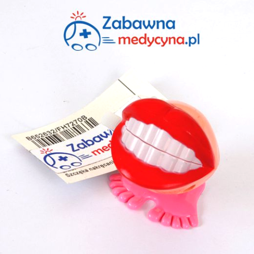 Nakręcane usta-drepczące usta-zabawka do gabinetu dentystycznego-gadżet dla dentysty- gadżet dla stomatologa